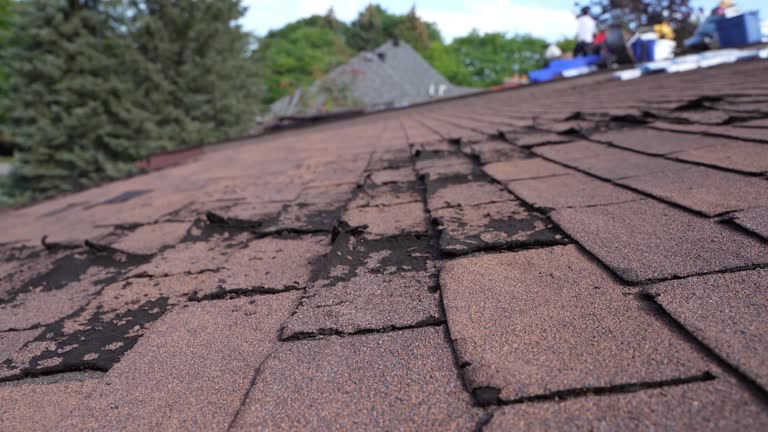 Best Skylight Installation and Repair  in Hustisford, WI
