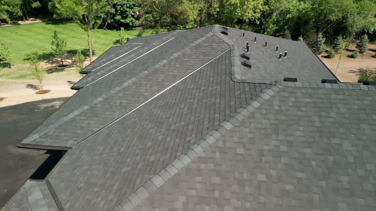 Best Roof Moss and Algae Removal  in Hustisford, WI